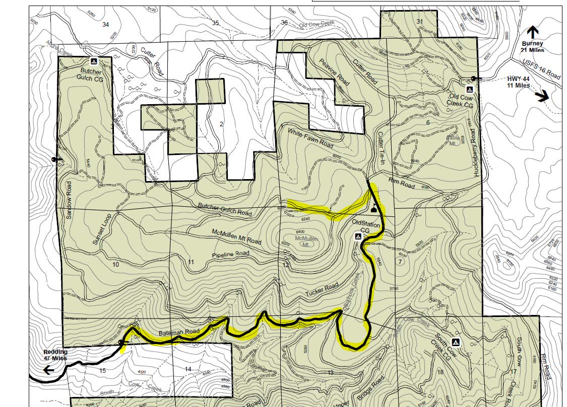 Map of Tree chopping location